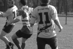 XVartrose-chonchon195