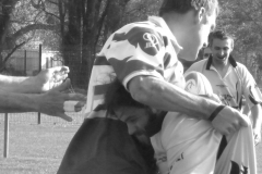 XVartrose-chonchon196