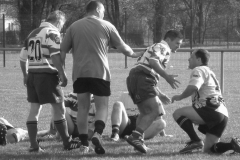 XVartrose-chonchon198