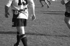 XVartrose-chonchon200