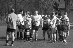 XVartrose-chonchon208