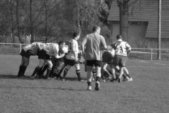 XVartrose-chonchon209