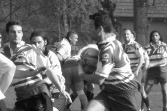 XVartrose-chonchon210