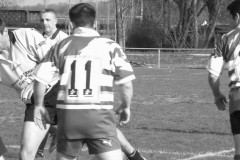 XVartrose-chonchon211