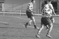 XVartrose-chonchon215