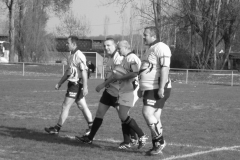 XVartrose-chonchon218