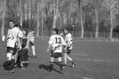 XVartrose-chonchon220