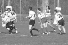 XVartrose-chonchon231