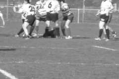 XVartrose-chonchon232