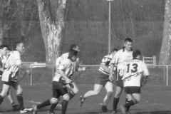 XVartrose-chonchon233