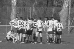 XVartrose-chonchon237