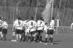 XVartrose-chonchon238