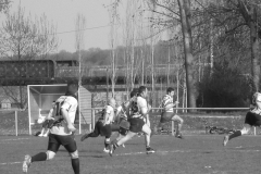 XVartrose-chonchon242