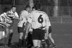 XVartrose-chonchon246