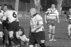 XVartrose-chonchon247