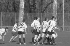 XVartrose-chonchon253