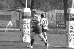 XVartrose-chonchon255