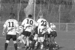 XVartrose-chonchon260