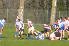 XVartrose-chonchon263