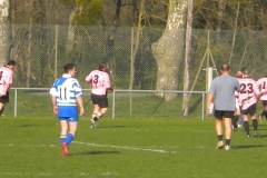 XVartrose-chonchon264