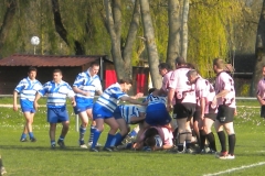 XVartrose-chonchon267