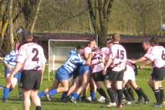 XVartrose-chonchon268