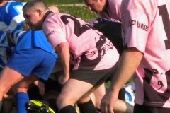 XVartrose-chonchon278