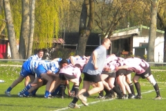 XVartrose-chonchon283