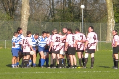 XVartrose-chonchon284