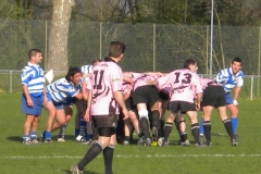 XVartrose-chonchon285