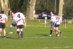 XVartrose-chonchon286