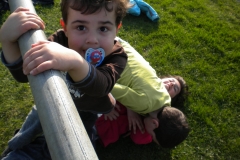 XVartrose-chonchon288