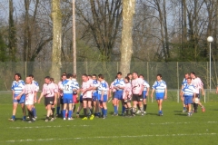 XVartrose-chonchon290