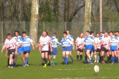 XVartrose-chonchon291