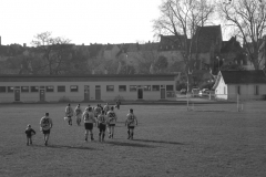 XVartrose-chonchon304