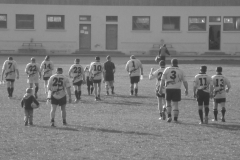 XVartrose-chonchon305