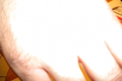 XVartrose-chonchon310