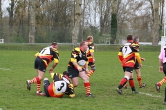 louhans034