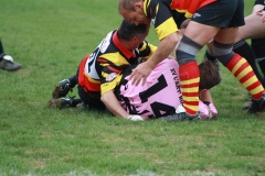 louhans041