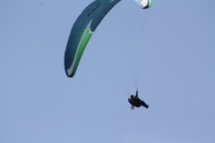 IMG_0019