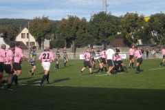 PONTUS050