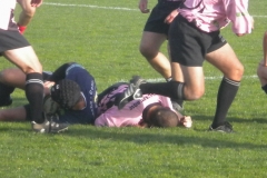 PONTUS080