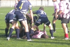 PONTUS081
