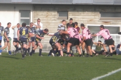 PONTUS085