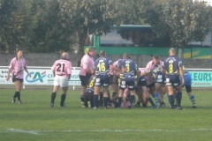 PONTUS133