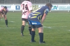 PONTUS155