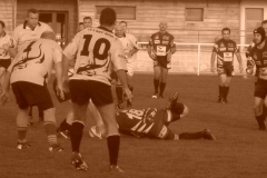 PONTUS167