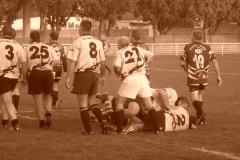 PONTUS176