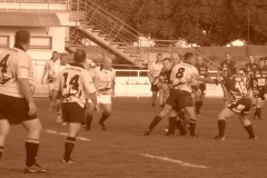 PONTUS178