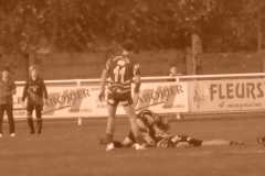 PONTUS184